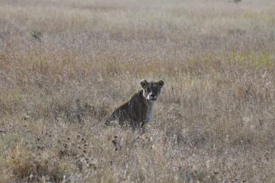 DSC_3905 (Large).JPG